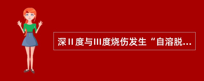 深Ⅱ度与Ⅲ度烧伤发生“自溶脱痂”的时间一般为伤后（　　）。