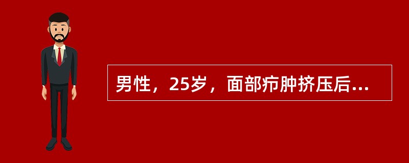 男性，25岁，面部疖肿挤压后出现寒战高热。血白细胞18×109/L，中性粒细胞90％，局部肿胀明显，全身皮肤见散在淤血点。下列治疗哪项不妥？（　　）