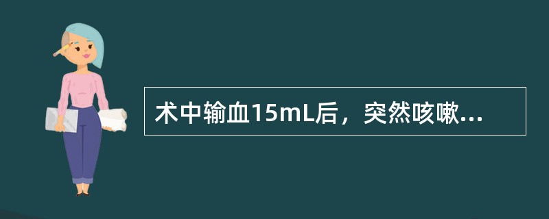 术中输血15mL后，突然咳嗽，面色潮红，腹泻，神志不清，怀疑发生了过敏反应，应该采取哪项治疗?（　　）
