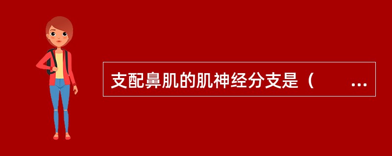 支配鼻肌的肌神经分支是（　　）。