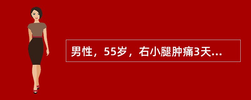 男性，55岁，右小腿肿痛3天。查体：体温38℃，右小腿片状红肿，鲜红色，中央较淡，边缘稍隆起，与正常皮肤界限清楚，指压可使红色消退，压力除去后红色很快恢复。最可能的诊断是（　　）。