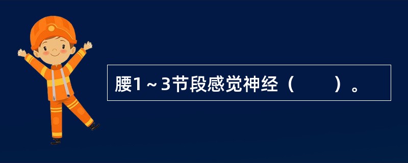 腰1～3节段感觉神经（　　）。