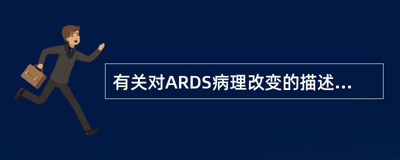 有关对ARDS病理改变的描述，下列不正确的是（　　）。