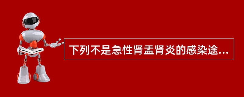 下列不是急性肾盂肾炎的感染途径的是（　　）。
