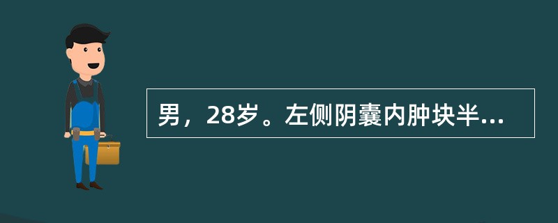男，28岁。左侧阴囊内肿块半年，时有挤压痛，无热，不影响活动。查体：左侧阴囊肿大，触之睾丸上部有一囊性肿块，牵拉睾丸可随之活动，挤压不变小，睾丸可触及正常大小，透光实验为阳性，该患者诊断为（　　）。