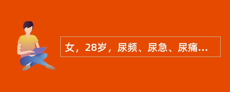 女，28岁，尿频、尿急、尿痛5天，偶尔伴有尿失禁症状（　　）。