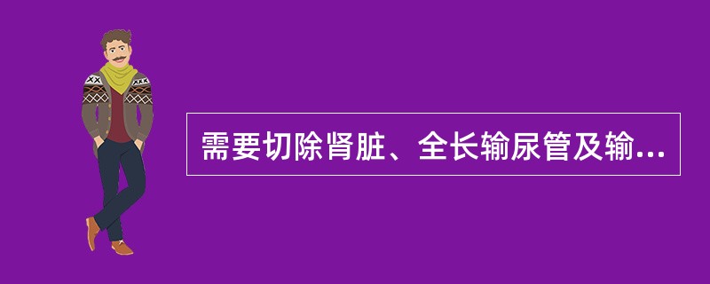 需要切除肾脏、全长输尿管及输尿管开口处部分膀胱（　　）。