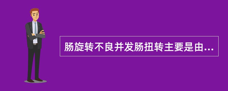 肠旋转不良并发肠扭转主要是由于（　　）。