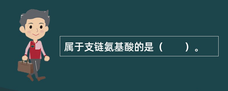 属于支链氨基酸的是（　　）。