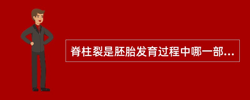 脊柱裂是胚胎发育过程中哪一部分发育障碍所致？（　　）。