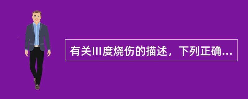 有关Ⅲ度烧伤的描述，下列正确的是（　　）。