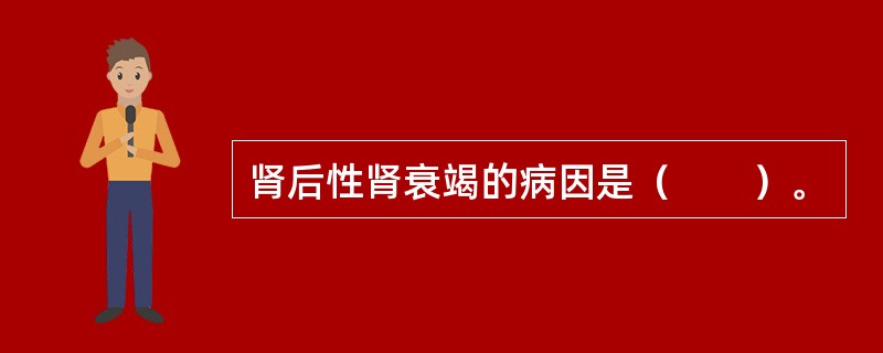 肾后性肾衰竭的病因是（　　）。