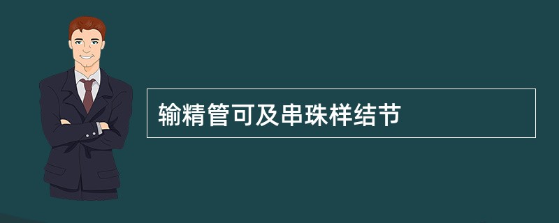 输精管可及串珠样结节