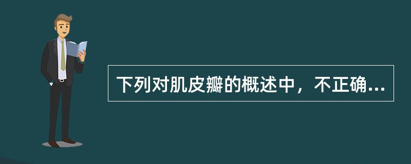 下列对肌皮瓣的概述中，不正确的是