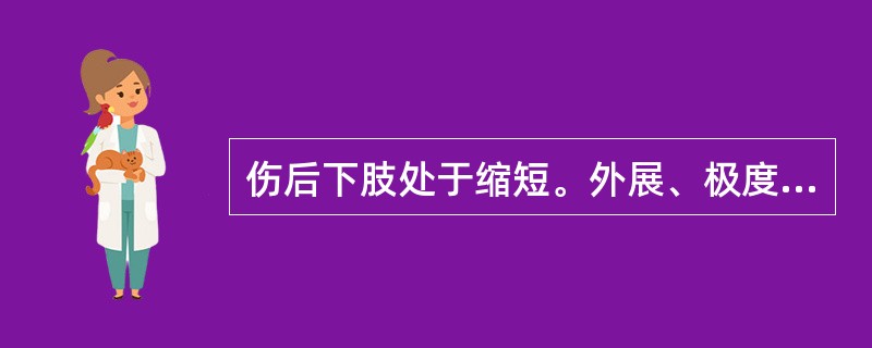 伤后下肢处于缩短。外展、极度外旋位。最可能的是
