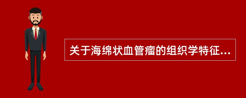 关于海绵状血管瘤的组织学特征，以下错误的是