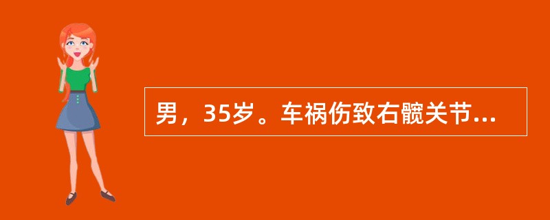 男，35岁。车祸伤致右髋关节痉疼痛，活动不能3天就诊，经检查诊断为右髋关节后脱位。在硬膜外麻醉下行手法复位治疗。伤后1年开始出现右髋关节疼痛，行走跛行，此时最可能是下了哪项诊断？（　　）