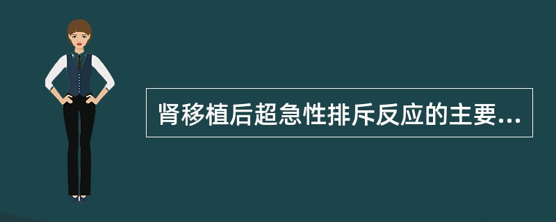 肾移植后超急性排斥反应的主要机制是由于（　　）。