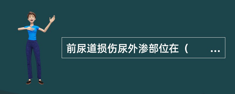 前尿道损伤尿外渗部位在（　　）。