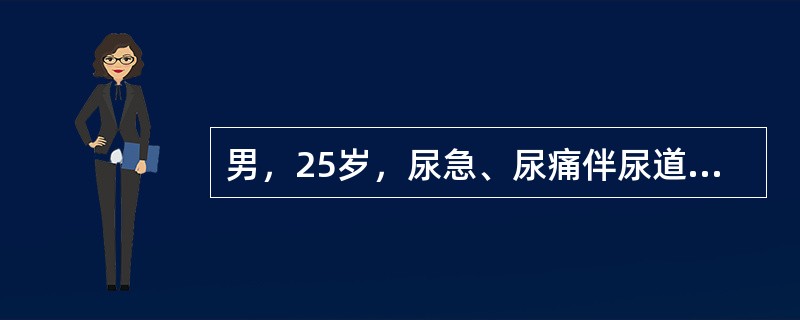 男，25岁，尿急、尿痛伴尿道口脓性分泌物2天就诊，分泌物涂片检查发现白细胞内大量革兰阴性双球菌，患者应该是下列哪项诊断？（　　）