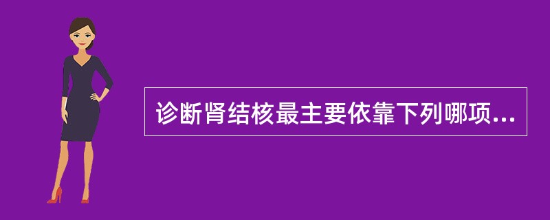 诊断肾结核最主要依靠下列哪项X线检查？（　　）