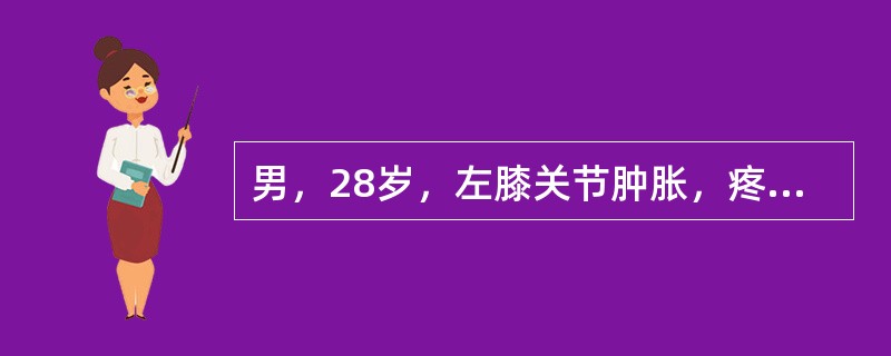 男，28岁，左膝关节肿胀，疼痛，伴低热，盗汗，纳差3个月，查体：消瘦、贫血面容，体温37℃，血沉50mm/L，左膝关节梭形肿胀，浮膑试验阳性。X线片示关节间隙增宽，骨质疏松，未见骨质破坏：为了确诊及排