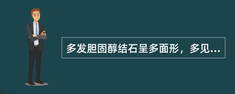 多发胆固醇结石呈多面形，多见于哪个部位？（　　）