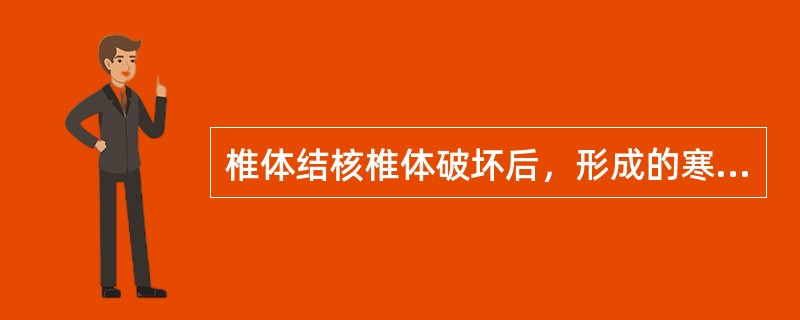 椎体结核椎体破坏后，形成的寒性脓肿不包括（　　）。