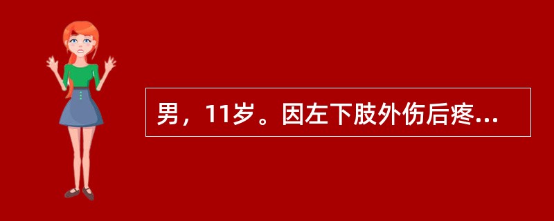 男，11岁。因左下肢外伤后疼痛10天，加重伴活动受限、发热3天入院。入院前10天跑步时撞伤左大腿，明显疼痛，活动受限，卧床休息后稍缓解。3天前疼痛加重，伴发热，体温高达40℃，在当地医院静滴青霉素后无