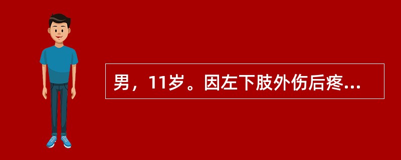 男，11岁。因左下肢外伤后疼痛10天，加重伴活动受限、发热3天入院。入院前10天跑步时撞伤左大腿，明显疼痛，活动受限，卧床休息后稍缓解。3天前疼痛加重，伴发热，体温高达40℃，在当地医院静滴青霉素后无