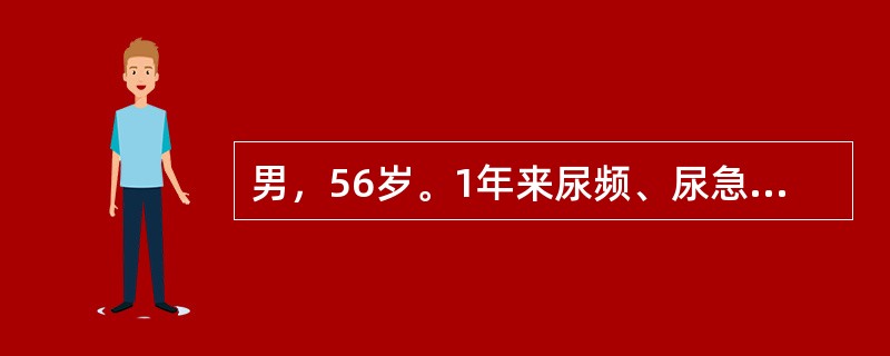 男，56岁。1年来尿频、尿急、尿痛，有时尿浑浊，伴终末血尿，一般抗生素治疗无效。尿检：白细胞40～50个，红细胞20～30个/HP，最适宜的检查方法是（　　）。