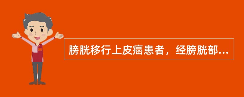 膀胱移行上皮癌患者，经膀胱部分切除术后进一步治疗应首选（　　）。