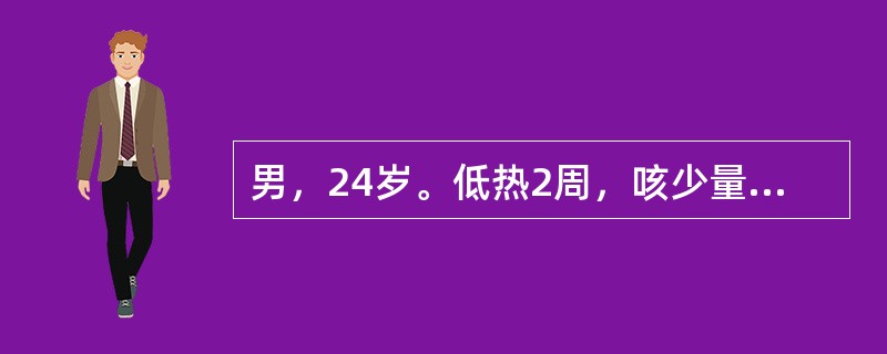 男，24岁。低热2周，咳少量痰，胸片示右上肺片块高密度影，边缘不清，并可见空洞形成。该患者最可能是下列哪项诊断？（　　）