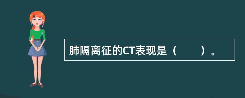 肺隔离征的CT表现是（　　）。