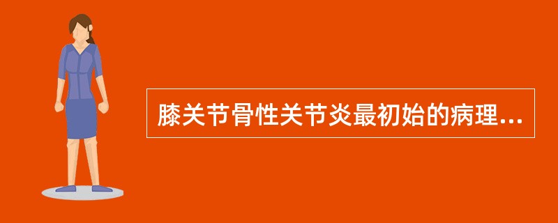 膝关节骨性关节炎最初始的病理损害发生于（　　）。