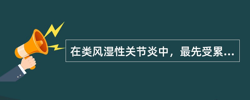 在类风湿性关节炎中，最先受累的关节组织是（　　）。