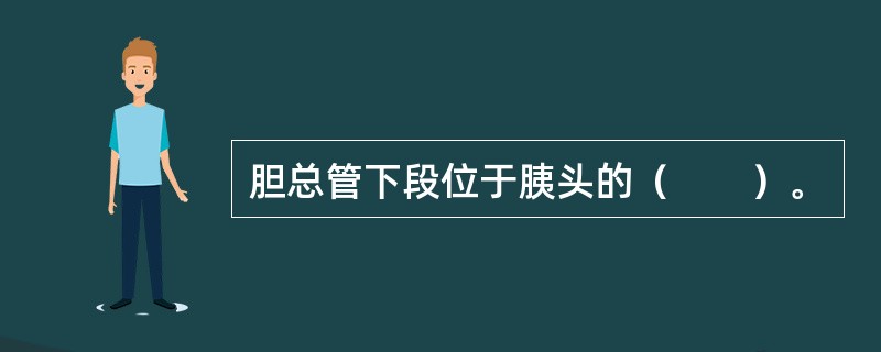 胆总管下段位于胰头的（　　）。