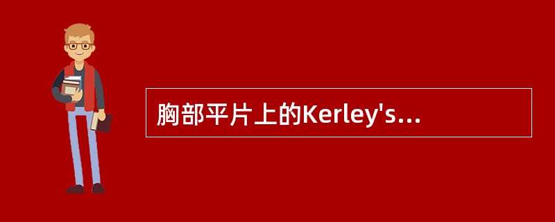 胸部平片上的Kerley'sB线指的是（　　）。