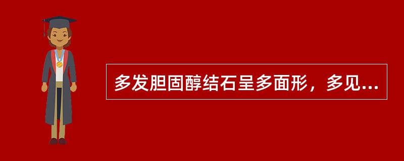 多发胆固醇结石呈多面形，多见于哪个部位？（　　）