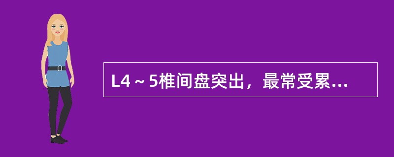 L4～5椎间盘突出，最常受累的神经根是（　　）。