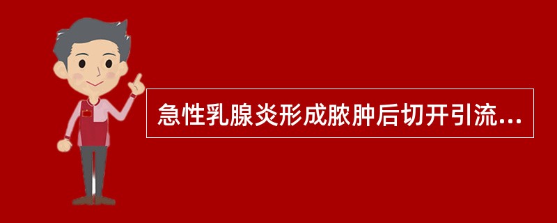 急性乳腺炎形成脓肿后切开引流，下列哪项不恰当？（　　）