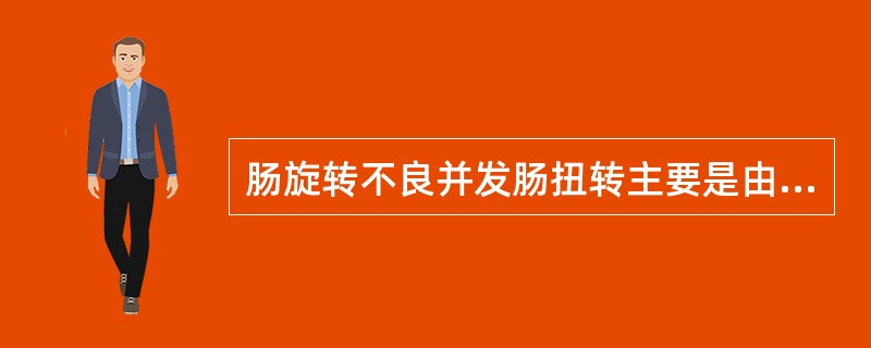 肠旋转不良并发肠扭转主要是由于（　　）。