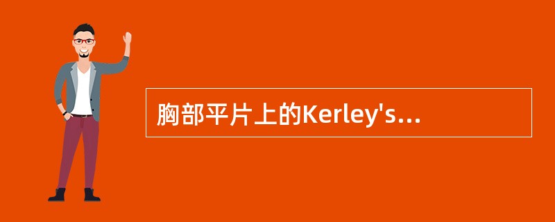 胸部平片上的Kerley'sB线指的是（　　）。