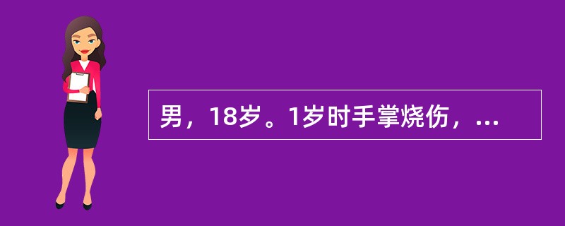 男，18岁。1岁时手掌烧伤，现瘢痕挛缩畸形呈团状手，治疗方案为（　　）。