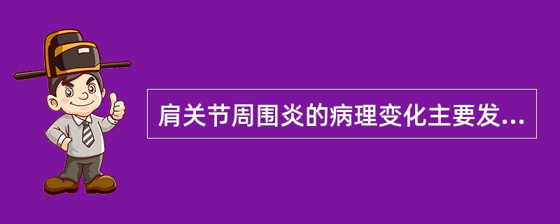 肩关节周围炎的病理变化主要发生在（　　）。