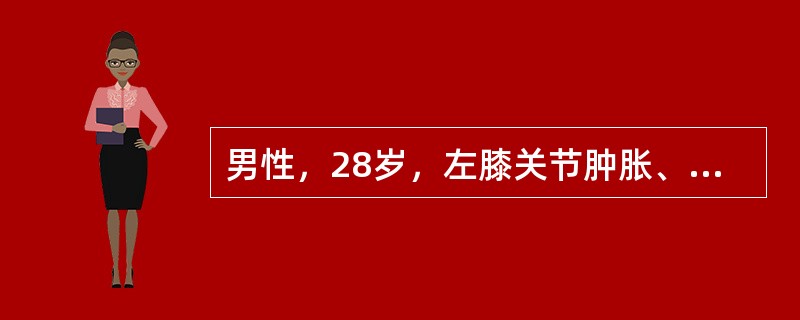 男性，28岁，左膝关节肿胀、疼痛，伴低热，盗汗，纳差3个月，查体：消瘦、贫血面容，体温37℃，血沉50mm/h，左膝关节梭形肿胀，浮膑试验阳性。X线片示关节间隙增宽，骨质疏松，未见骨质破坏。最佳的治疗