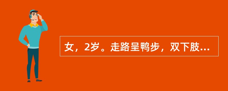 女，2岁。走路呈鸭步，双下肢等长，Allis征阴性，0rtolani试验阳性，骨盆X线片显示股骨头骨骺明显变小，外移呈Ⅰ度脱位，髋臼指数大。应首选下列哪项治疗？（　　）