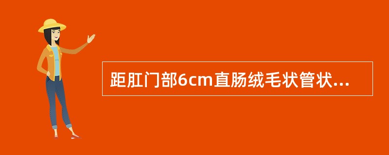 距肛门部6cm直肠绒毛状管状腺瘤约5cm，广基，最合适的处理方法为（　　）。