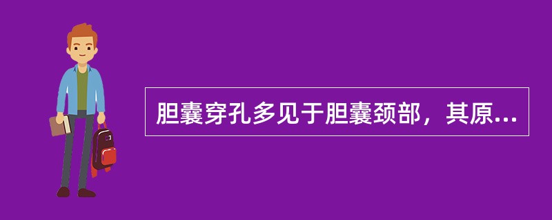 胆囊穿孔多见于胆囊颈部，其原因包括（　　）。