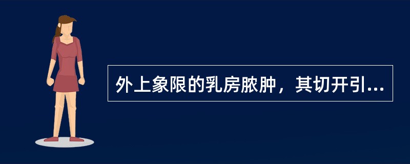 外上象限的乳房脓肿，其切开引流的切口是（　　）。